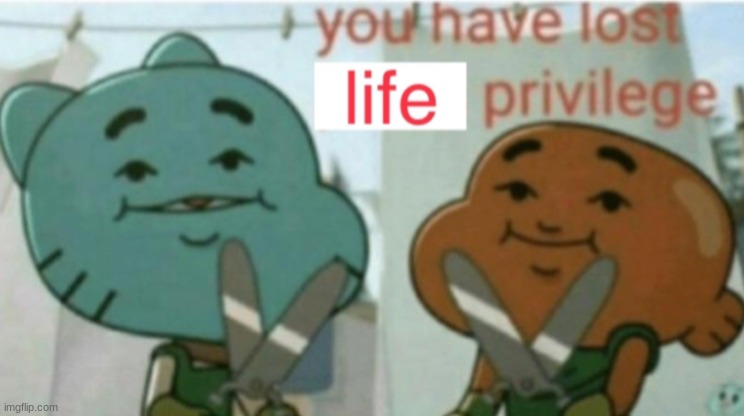 You have lost life privilege | image tagged in you have lost life privilege | made w/ Imgflip meme maker