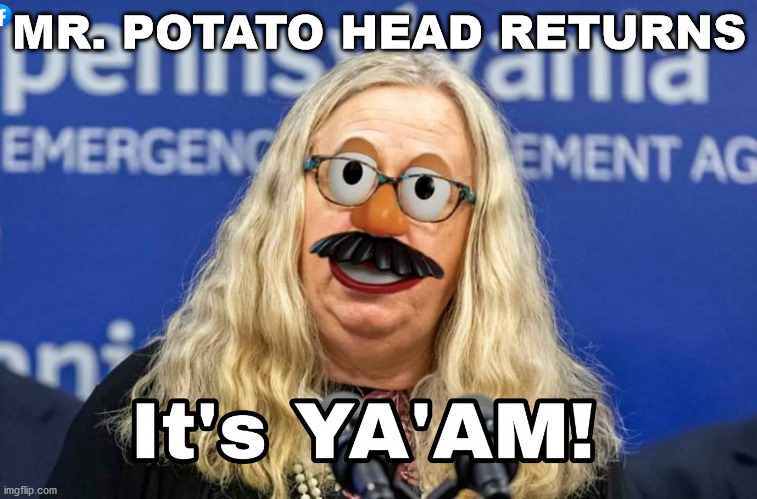 MR. POTATO HEAD RETURNS | image tagged in levine potato head | made w/ Imgflip meme maker