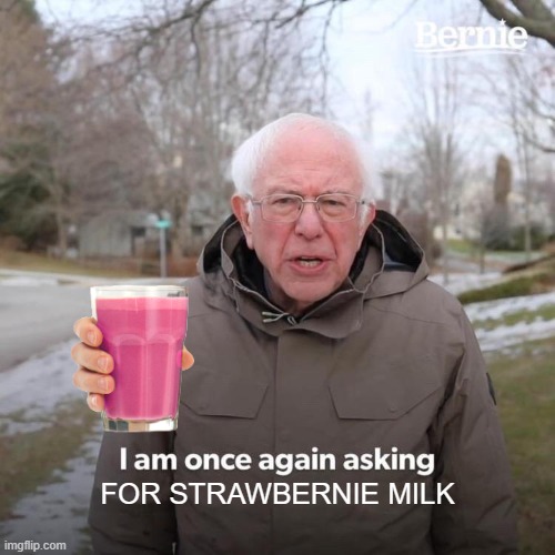 Bernie I Am Once Again Asking For Your Support Meme | FOR STRAWBERNIE MILK | image tagged in memes,bernie i am once again asking for your support | made w/ Imgflip meme maker