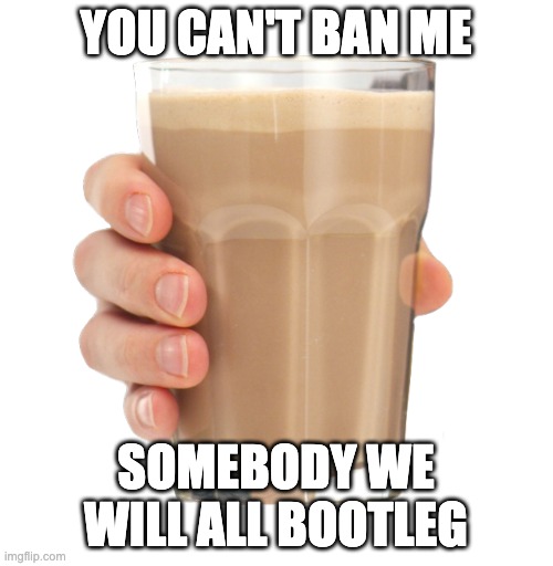 Choccy Milk | YOU CAN'T BAN ME SOMEBODY WE WILL ALL BOOTLEG | image tagged in choccy milk | made w/ Imgflip meme maker