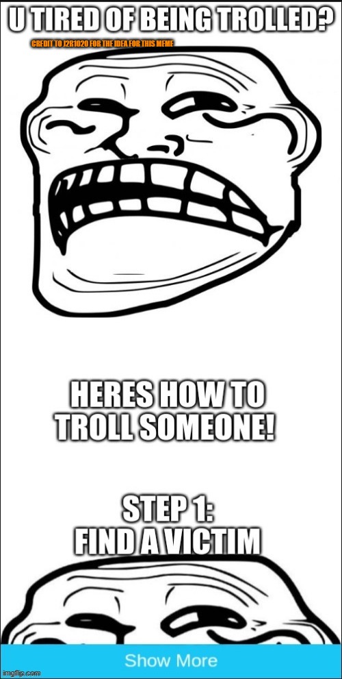 how to troll someone | CREDIT TO J2R1020 FOR THE IDEA FOR THIS MEME | image tagged in you,have,been,trolled | made w/ Imgflip meme maker