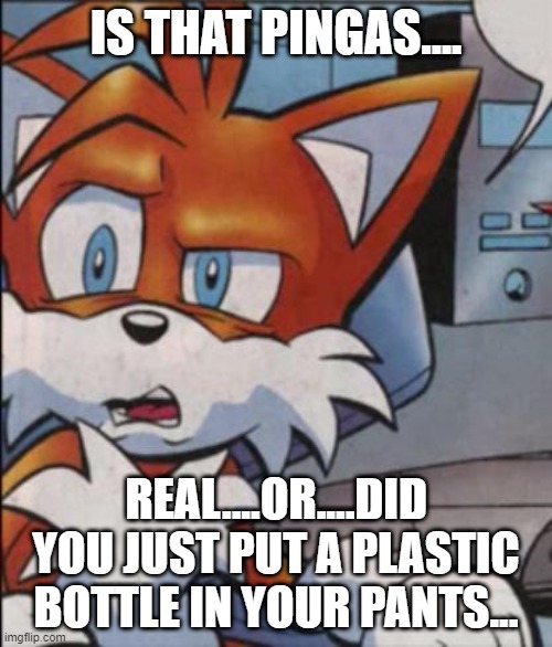 That's no PINGAS! | IS THAT PINGAS.... REAL....OR....DID YOU JUST PUT A PLASTIC BOTTLE IN YOUR PANTS... | image tagged in tails wtf | made w/ Imgflip meme maker
