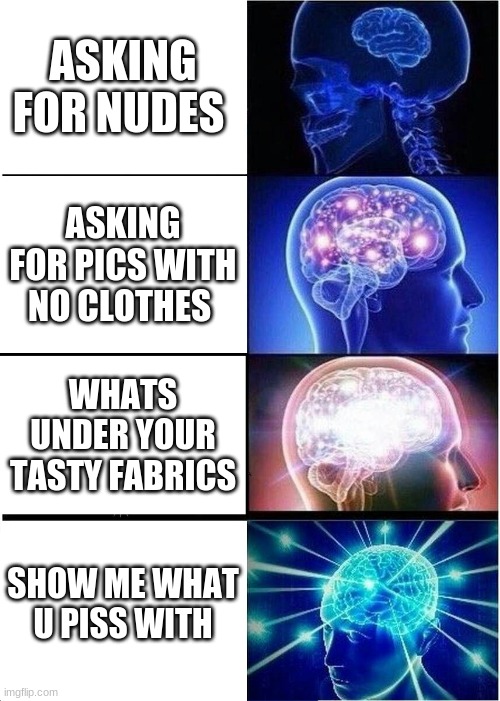 Expanding Brain Meme | ASKING FOR NUDES; ASKING FOR PICS WITH NO CLOTHES; WHATS UNDER YOUR TASTY FABRICS; SHOW ME WHAT U PISS WITH | image tagged in memes,expanding brain | made w/ Imgflip meme maker