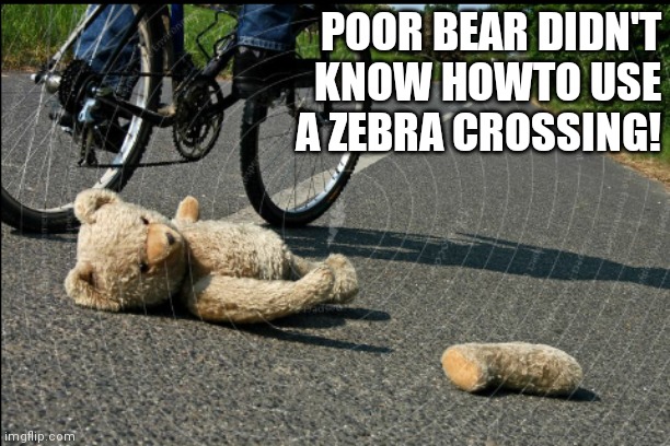 POOR BEAR DIDN'T KNOW HOWTO USE
 A ZEBRA CROSSING! | image tagged in bad day | made w/ Imgflip meme maker