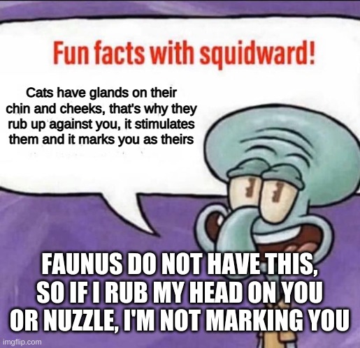 Fun Facts with Squidward | Cats have glands on their chin and cheeks, that's why they rub up against you, it stimulates them and it marks you as theirs; FAUNUS DO NOT HAVE THIS, SO IF I RUB MY HEAD ON YOU OR NUZZLE, I'M NOT MARKING YOU | image tagged in fun facts with squidward | made w/ Imgflip meme maker