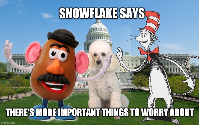 Snowflake Says | SNOWFLAKE SAYS; THERE'S MORE IMPORTANT THINGS TO WORRY ABOUT | image tagged in snowflake,mr potato head,dr seuss,washington dc,ted cruz,funny memes | made w/ Imgflip meme maker