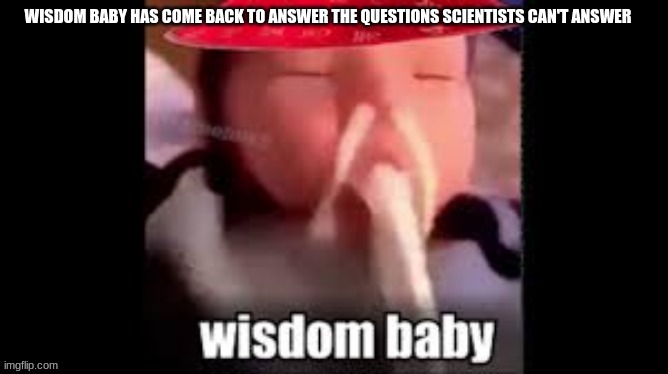Wisdom Baby | WISDOM BABY HAS COME BACK TO ANSWER THE QUESTIONS SCIENTISTS CAN'T ANSWER | image tagged in wisdom baby | made w/ Imgflip meme maker