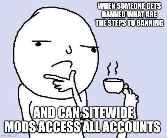thinking meme | WHEN SOMEONE GETS BANNED WHAT ARE THE STEPS TO BANNING; AND CAN SITEWIDE MODS ACCESS ALL ACCOUNTS | image tagged in thinking meme | made w/ Imgflip meme maker