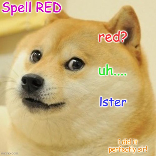 spell RED bro | Spell RED; red? uh.... lster; i did it perfectly sir! | image tagged in memes,doge,so true memes,why not both | made w/ Imgflip meme maker