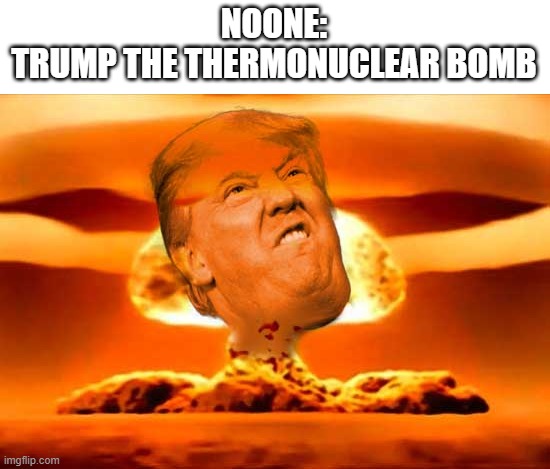 trump the thermonuclear bomb | NOONE:
TRUMP THE THERMONUCLEAR BOMB | image tagged in atomic bomb | made w/ Imgflip meme maker