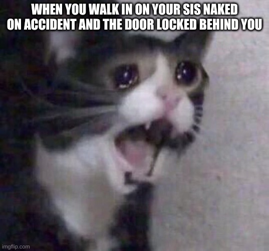 Crying Cat | WHEN YOU WALK IN ON YOUR SIS NAKED ON ACCIDENT AND THE DOOR LOCKED BEHIND YOU | image tagged in crying cat | made w/ Imgflip meme maker