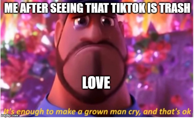 and thats ok | ME AFTER SEEING THAT TIKTOK IS TRASH; LOVE | image tagged in it's enough to make a grown man cry and that's ok | made w/ Imgflip meme maker