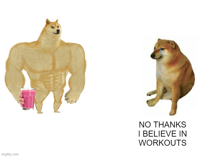 Differences in gym approach | NO THANKS
I BELIEVE IN
WORKOUTS | image tagged in memes,buff doge vs cheems | made w/ Imgflip meme maker