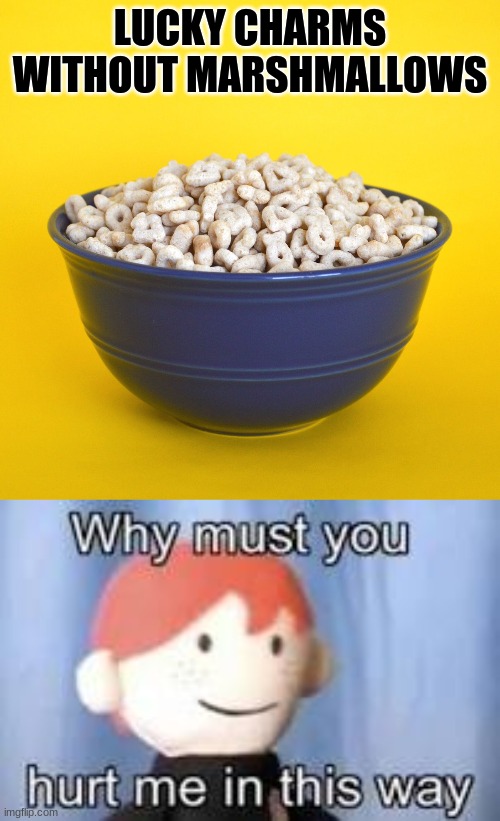 Sadness | LUCKY CHARMS WITHOUT MARSHMALLOWS | image tagged in why must you hurt me in this way,lucky charms | made w/ Imgflip meme maker