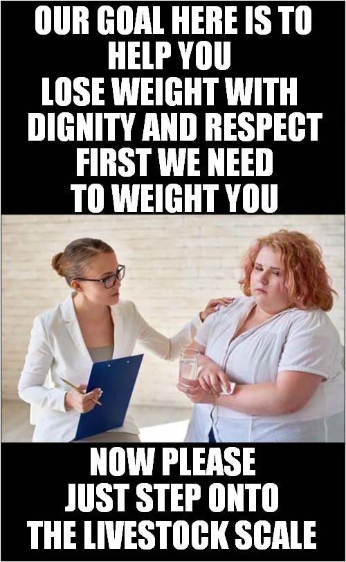 Weight Loss Encouragement ? | OUR GOAL HERE IS TO; HELP YOU LOSE WEIGHT WITH; DIGNITY AND RESPECT; FIRST WE NEED TO WEIGHT YOU; NOW PLEASE JUST STEP ONTO; THE LIVESTOCK SCALE | image tagged in overweight,weight loss,scales | made w/ Imgflip meme maker