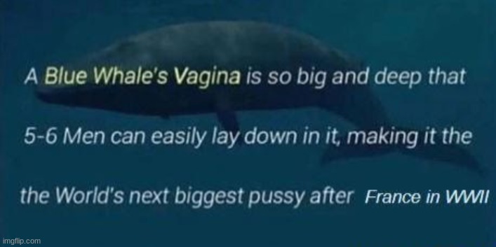 blue whale vagina | image tagged in blue whale vagina | made w/ Imgflip meme maker