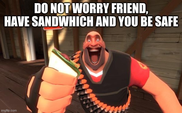 Sandvich fixes everything | DO NOT WORRY FRIEND, HAVE SANDWHICH AND YOU BE SAFE | image tagged in sandvich fixes everything | made w/ Imgflip meme maker