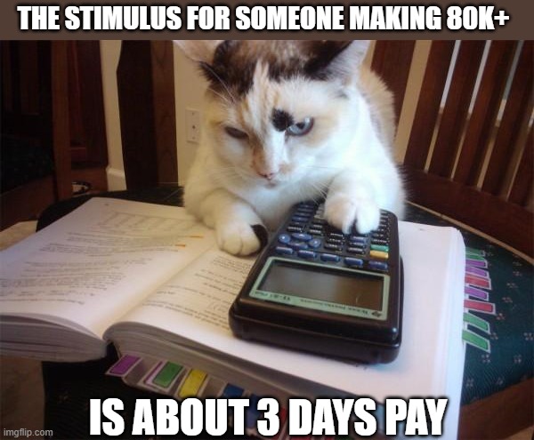 Math cat | THE STIMULUS FOR SOMEONE MAKING 80K+ IS ABOUT 3 DAYS PAY | image tagged in math cat | made w/ Imgflip meme maker