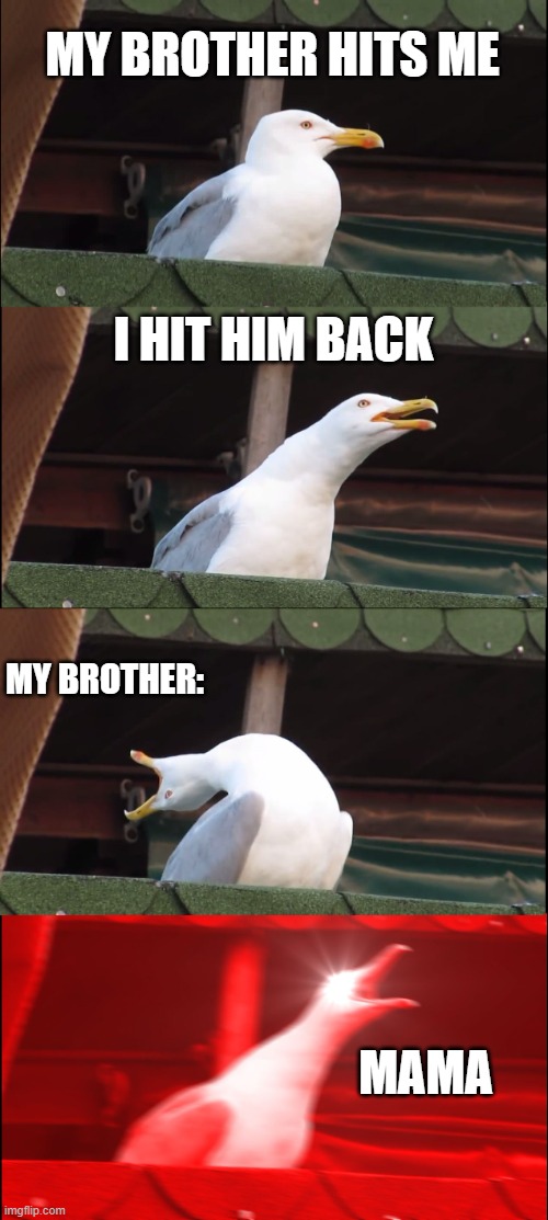 My Brother | MY BROTHER HITS ME; I HIT HIM BACK; MY BROTHER:; MAMA | image tagged in memes,inhaling seagull | made w/ Imgflip meme maker