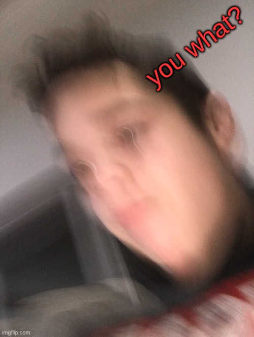 You what!? | image tagged in you what | made w/ Imgflip meme maker