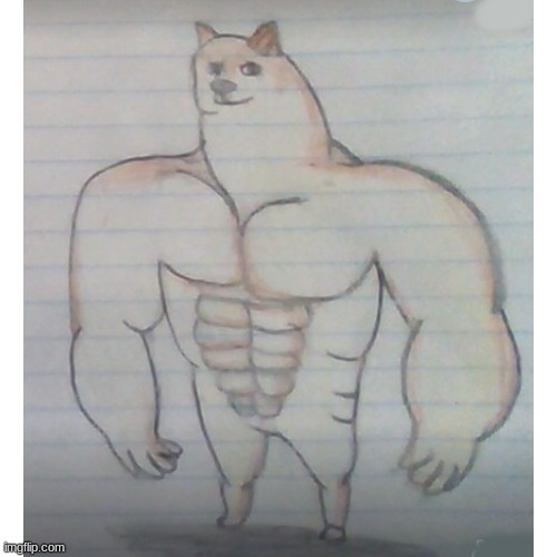 Drew buff doge! | image tagged in drawings,buff doge | made w/ Imgflip meme maker