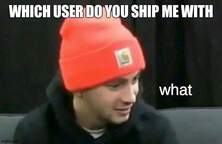 *laughs in nobody gonna answer* | WHICH USER DO YOU SHIP ME WITH | image tagged in tyler joseph what | made w/ Imgflip meme maker
