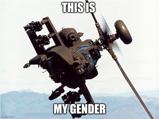 my gender confirmed | THIS IS; MY GENDER | image tagged in attack helicopter | made w/ Imgflip meme maker