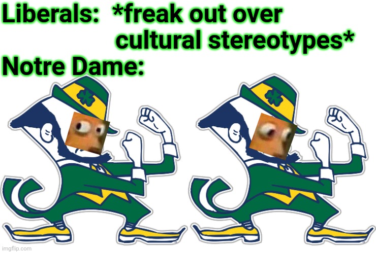 put 'em up | Liberals:  *freak out over
                  cultural stereotypes*
Notre Dame: | image tagged in stereotypes,college liberal,stupid liberals | made w/ Imgflip meme maker