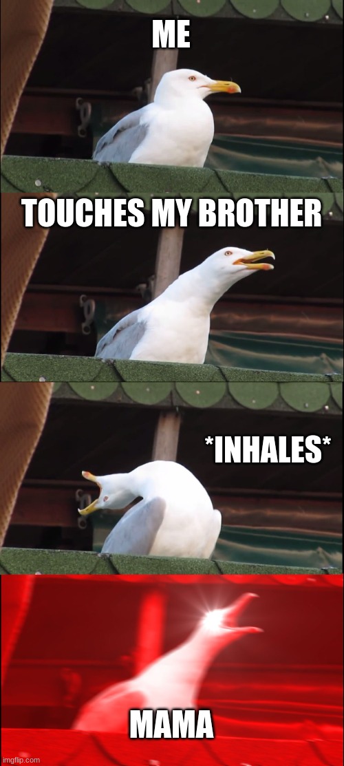 Inhaling Seagull | ME; TOUCHES MY BROTHER; *INHALES*; MAMA | image tagged in memes,inhaling seagull | made w/ Imgflip meme maker