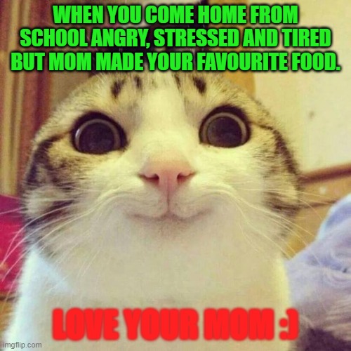 Smiling Cat Meme | WHEN YOU COME HOME FROM SCHOOL ANGRY, STRESSED AND TIRED BUT MOM MADE YOUR FAVOURITE FOOD. LOVE YOUR MOM :) | image tagged in memes,smiling cat | made w/ Imgflip meme maker