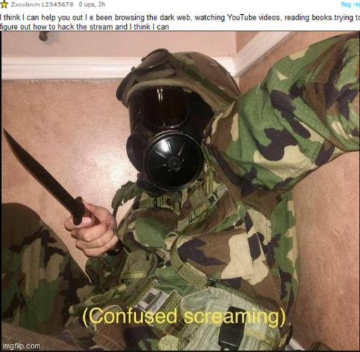 the account is deleted so i didn't blur out the name | image tagged in confused screaming but with gas mask | made w/ Imgflip meme maker