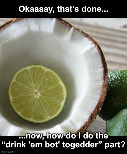 You Put the Lime in the Coconut | Okaaaay, that’s done... ...now, how do I do the “drink 'em bot' togedder” part? | image tagged in funny memes,song lyrics | made w/ Imgflip meme maker