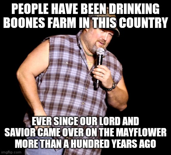 Larry the cable guy qoute | PEOPLE HAVE BEEN DRINKING BOONES FARM IN THIS COUNTRY; EVER SINCE OUR LORD AND SAVIOR CAME OVER ON THE MAYFLOWER MORE THAN A HUNDRED YEARS AGO | image tagged in larry the cable guy | made w/ Imgflip meme maker