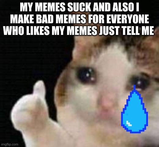 My memes suck | MY MEMES SUCK AND ALSO I MAKE BAD MEMES FOR EVERYONE WHO LIKES MY MEMES JUST TELL ME | image tagged in approved crying cat | made w/ Imgflip meme maker