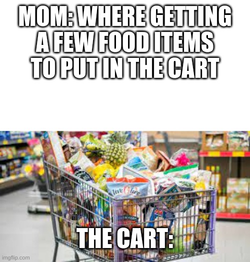 MOM: WHERE GETTING A FEW FOOD ITEMS TO PUT IN THE CART; THE CART: | image tagged in funny memes,stuff | made w/ Imgflip meme maker