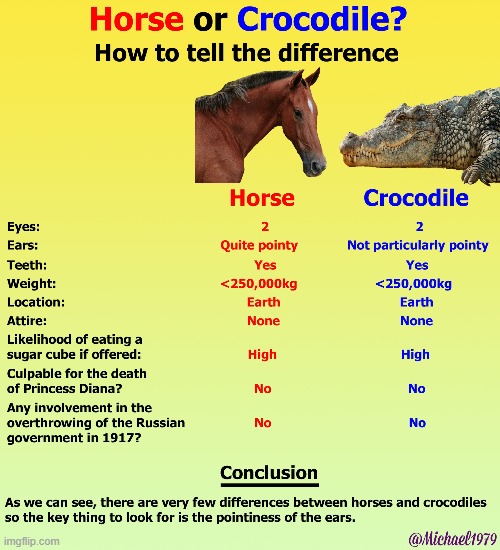 be carful guys | image tagged in memes,repost,horse,crocodile | made w/ Imgflip meme maker