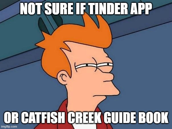 catfish creek guide or tinder? | NOT SURE IF TINDER APP; OR CATFISH CREEK GUIDE BOOK | image tagged in not sure if- fry,catfish,tinder | made w/ Imgflip meme maker
