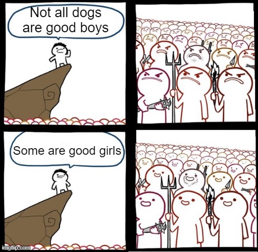 Angry Crowd | Not all dogs are good boys; Some are good girls | image tagged in angry crowd,doggo | made w/ Imgflip meme maker