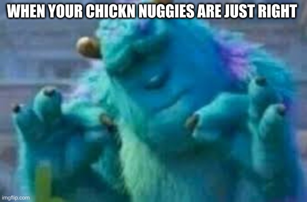 chickn nuggies to perfection UvU | WHEN YOUR CHICKN NUGGIES ARE JUST RIGHT | image tagged in memes,funny,chicken nuggets,relateable,sully | made w/ Imgflip meme maker
