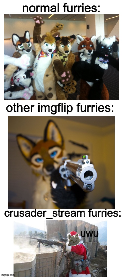 and that's a fact | normal furries:; other imgflip furries:; crusader_stream furries:; uwu | image tagged in blank white template | made w/ Imgflip meme maker
