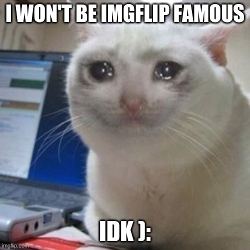 ): | I WON'T BE IMGFLIP FAMOUS; IDK ): | image tagged in crying cat | made w/ Imgflip meme maker