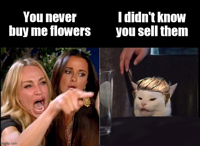 White Cat table | You never buy me flowers; I didn't know you sell them | image tagged in white cat table blonde,white cat,funny,viral | made w/ Imgflip meme maker