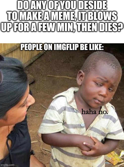 You cant say you dont agree... | DO ANY OF YOU DESIDE TO MAKE A MEME, IT BLOWS UP FOR A FEW MIN, THEN DIES? PEOPLE ON IMGFLIP BE LIKE:; haha no. | image tagged in memes,third world skeptical kid | made w/ Imgflip meme maker