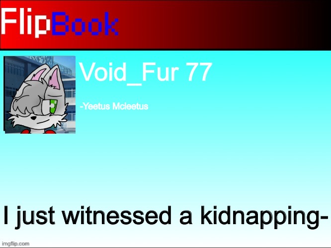 FlipBook profile | Void_Fur 77; -Yeetus Mcleetus; I just witnessed a kidnapping- | image tagged in flipbook profile | made w/ Imgflip meme maker