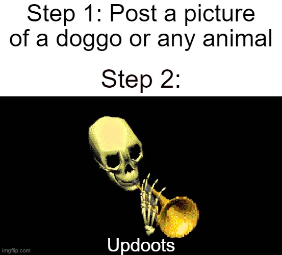 Step 1: Post a picture of a doggo or any animal; Step 2:; Updoots | image tagged in blank white template,updoot | made w/ Imgflip meme maker