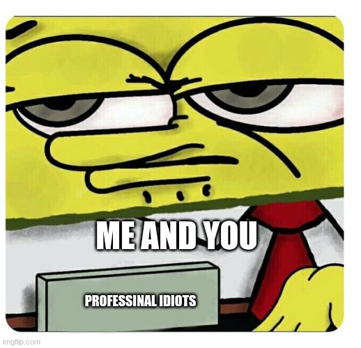 Spongebob empty professional name tag | ME AND YOU PROFESSINAL IDIOTS | image tagged in spongebob empty professional name tag | made w/ Imgflip meme maker