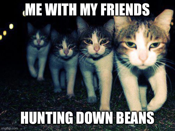 Cats cats cats BEANS | ME WITH MY FRIENDS; HUNTING DOWN BEANS | image tagged in memes,wrong neighboorhood cats | made w/ Imgflip meme maker