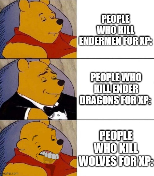 Minecraft | PEOPLE WHO KILL ENDERMEN FOR XP:; PEOPLE WHO KILL ENDER DRAGONS FOR XP:; PEOPLE WHO KILL WOLVES FOR XP: | image tagged in best better blurst | made w/ Imgflip meme maker