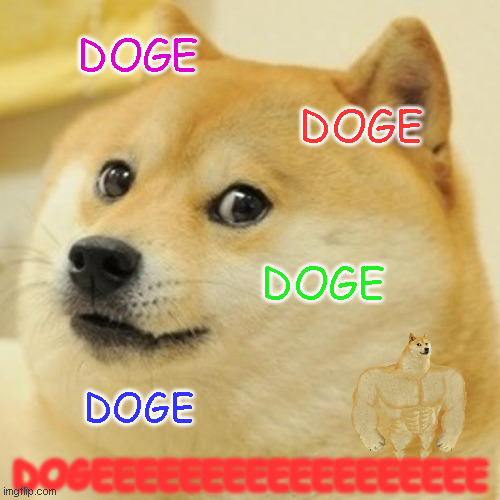 Doge Meme | DOGE; DOGE; DOGE; DOGE; DOGEEEEEEEEEEEEEEEEEE | image tagged in memes,doge | made w/ Imgflip meme maker