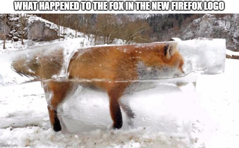 the new firefox logo sucks | WHAT HAPPENED TO THE FOX IN THE NEW FIREFOX LOGO | image tagged in firefox frozen | made w/ Imgflip meme maker